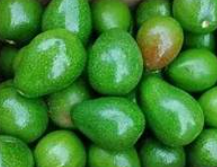Wayanad Avacado 500 gm