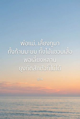 c255e8516084.jpg
