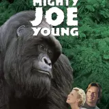 miamigojoe