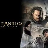 anillos33
