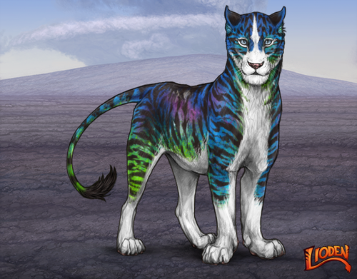 lioden wardrobe 2026 01 07T092927.414.png