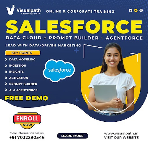 Salesforce Data Cloud Training Chennai  Data Cloud Classes.jpg