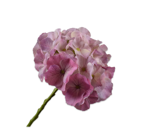 161033.png