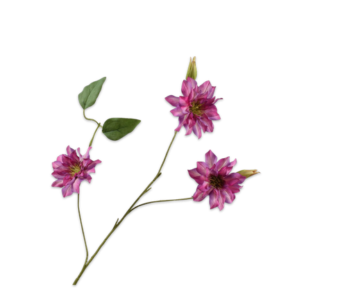 160410.png