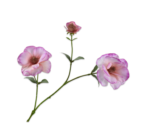 160451.png
