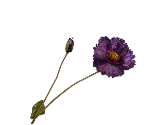 160395.png