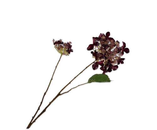 160476.png