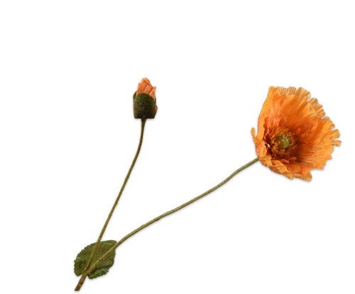 160397.png