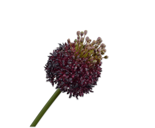 162007.png