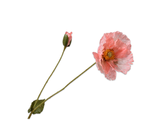 160401.png