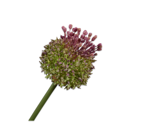 162008.png