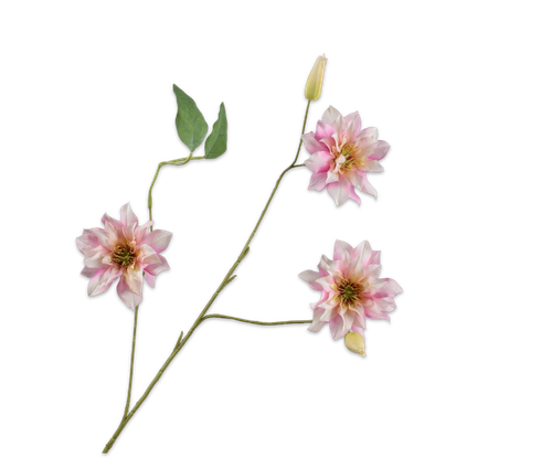 160408.png