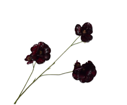 160461.png