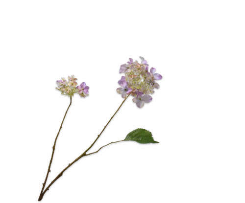 160474.png