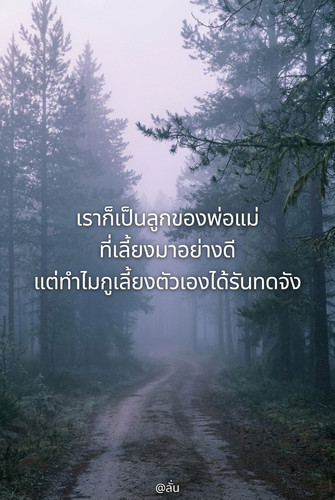 9c77ce7058de.jpg