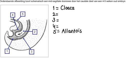 9ad77a2d42f5.png