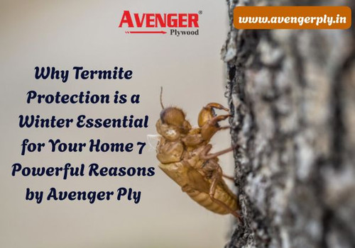7 Reasons Termite Protection Is Essential This Winter.jpg