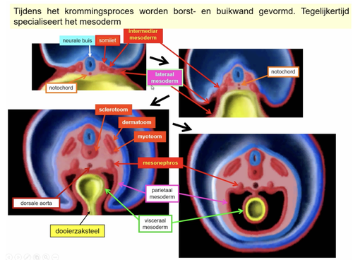 26f3319afd32.png