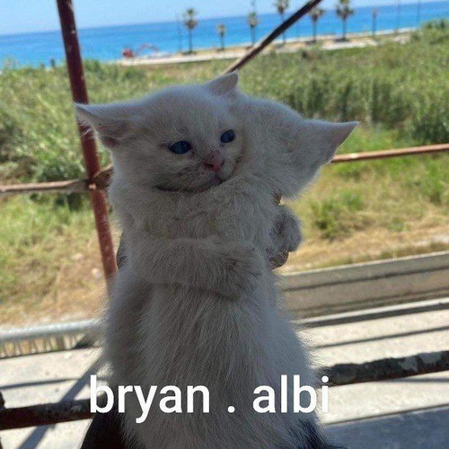 alberthiene.jpg