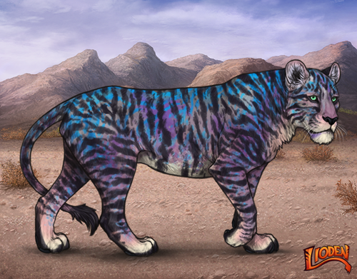 lioden wardrobe 2026 01 07T095135.752.png