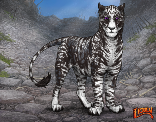 lioden wardrobe 2026 01 07T095545.765.png