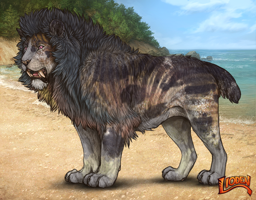 lioden wardrobe 2026 01 07T103717.901.png