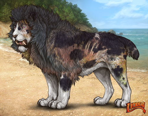 lioden wardrobe 2026 01 07T103749.927.png