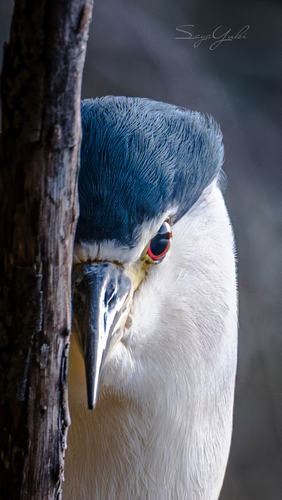 image 1767933969692.png