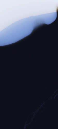 81500c869b2e.jpg