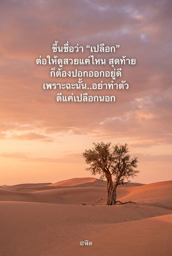 33fa7c6501a4.jpg