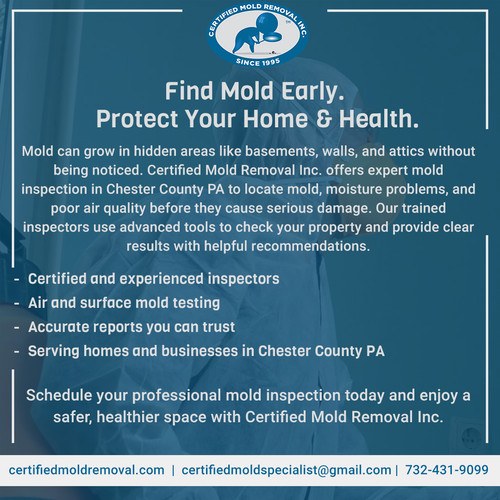 Find Mold Early. Protect Your Home & Health..jpg