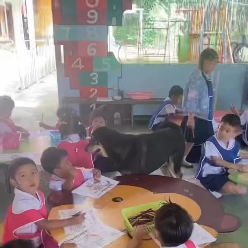 VKSzSfgA0Zyx2Mhv.jpg
