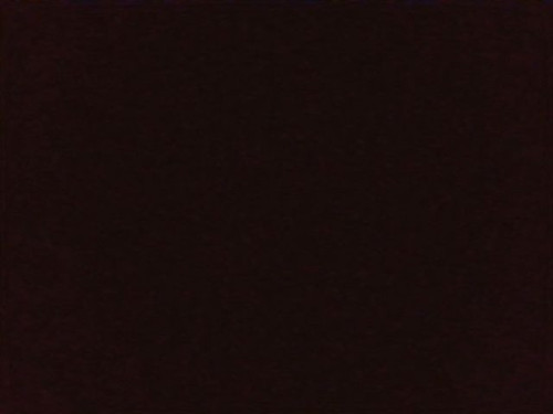 a0f2271b8e2a.jpg