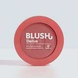 PROV BLUSH ERA SOL QUE ME FALTAVA foto 6