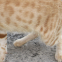 81e7f8a6823f.png