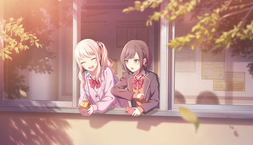 IMG 4247.png