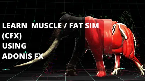Banner CFX Course.webp