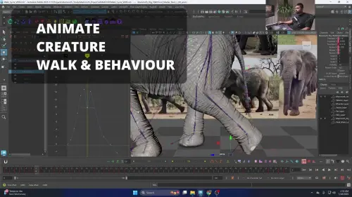 Banner Animation.webp