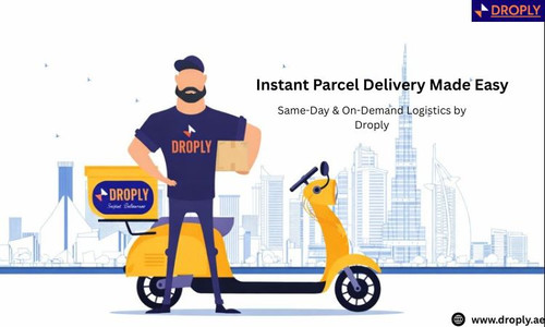 Instant Parcel Delivery Made Easy Same Day & On Demand Logistics by Droply.jpg