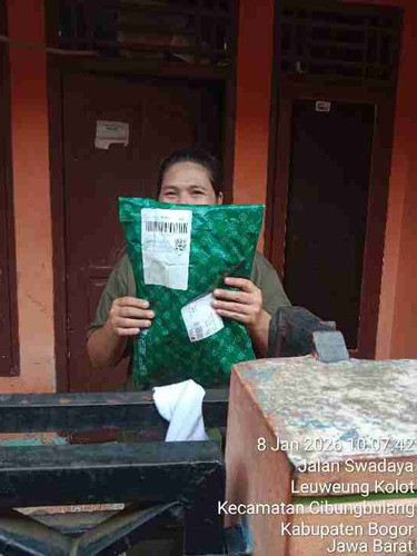codb.jpg