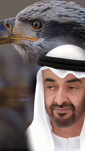 E7fjP5kYwy8Ebx3A.jpg