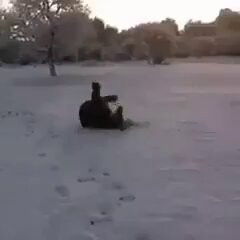 K53EBBDfLqzt3Oje.jpg