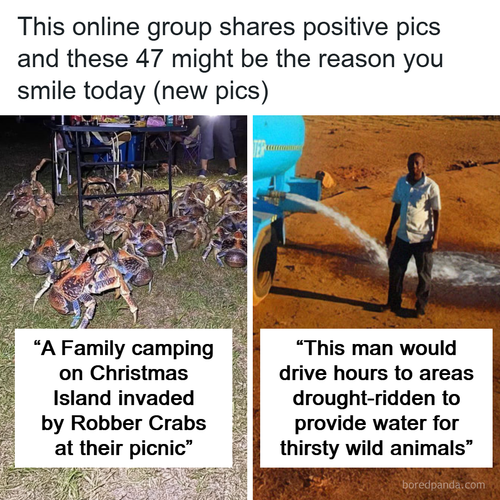 amazing photos stories.png