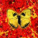49b56c3cffc7.png