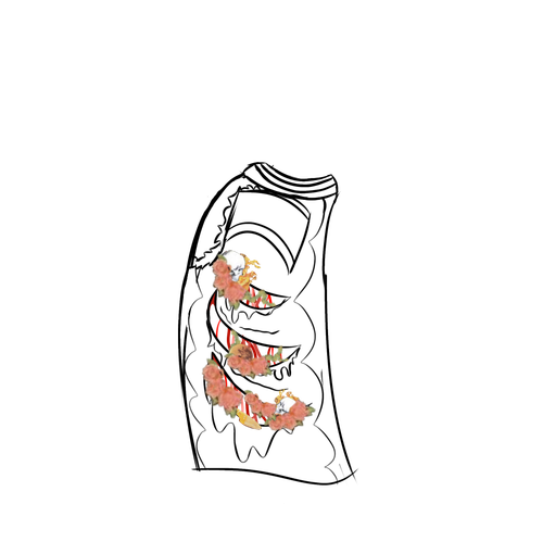Untitled487 20260108074628.png