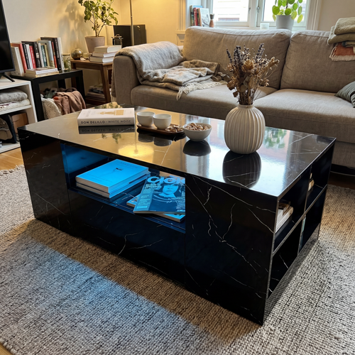 Putting a coffee table with storage by DHS in my living room.png