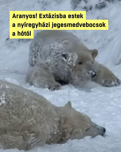 G ENOtDWQAA6aRF?format=jpg.jpg
