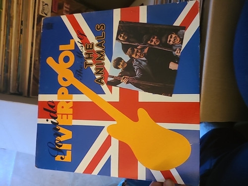 457c90d24537.jpg
