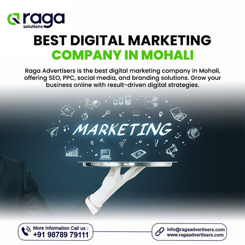 Best Digital Marketing Company in Mohali.jpg