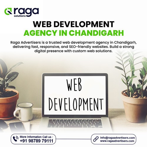 Web Development Agency in Chandigarh.jpg